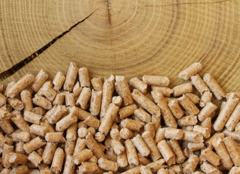 Продажа бизнеса по производству пеллет или комплекса под релокацию в г. Рахов, Закарпатской области